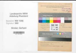 Entnazifizierung Gerhard Strobel , geb. 12.06.1914 (Landwirt)