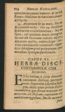 Caput XI. Herbae Discicorymbiferae Cum Affinibus.