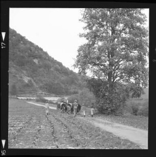 Landwirtschaft im Schwarzwald