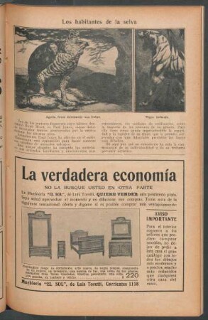 Los habitantes de la selva
