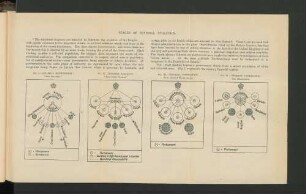 Fig. III.-Imperial Federation: With Subject Dependencies.