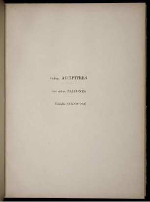 Ordine Accipitte. Sott' ordine Falcones. Famiglia Falconidae.