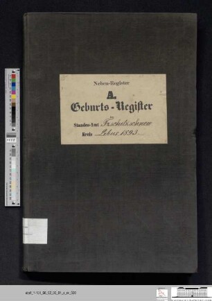 Geburtsregister Güldendorf 1893