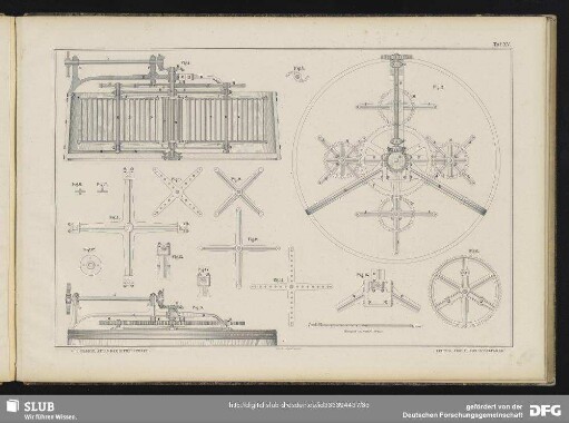 Taf. XV. [Fig. 1 - 15]