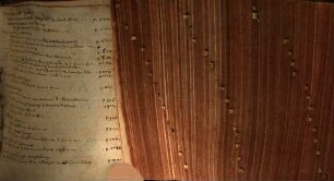 Quaestiones illustriores e prolegomenis theol. de Scriptura s. et theologia ipsa, hodierno cumprimis tempore controversae, placide examinatae