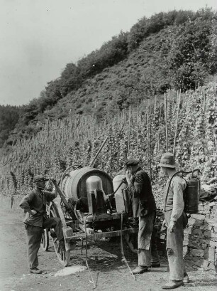 Cochem (Mosel), Weinbauern füllen Rückenspritzgeräte mit Schädlingsbekämpfungsmittel