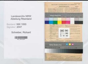 Entnazifizierung Richard Schreiber, geb. 16.09.1904 (Kunstmaler)