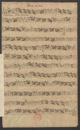 Violino unisono