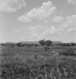 Feld : Blick über Felder in Richtung eines Berges