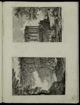 [Kupferst.] Nro. 15. die Laube ; Nro. 16. Bachus Tempel