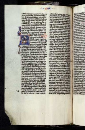 Bewohnte Initiale (Liber Paralipomenon): A(dam, Seth, Enos), Drachen
