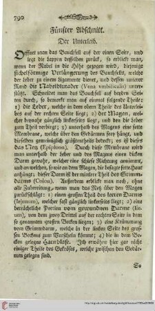 Fünfter Abschnitt: Der Unterleib