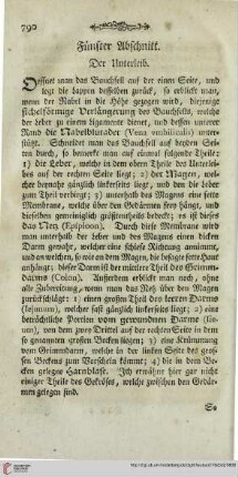 Fünfter Abschnitt: Der Unterleib