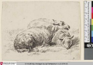 [Zwei ruhende Schafe; The Set of the Sheep, 2; Un mouton couché [...]]