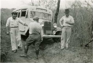 Weg zwischen der Fazenda Arara und Santo Antônio
