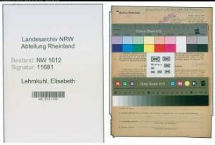 Entnazifizierung Elisabeth Lehmkuhl , geb. 30.06.1884 (Kauffrau)