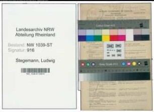 Entnazifizierung Ludwig Stegemann , geb. 14.05.1887 (Tierarzt)