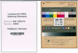 Entnazifizierung Hermann Wallbaum, geb. 23.07.1905 (Kaufmann)