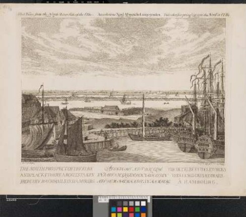 Aussicht Auf Die Elbe Und Auf Die Gegenden Nach Süden Aus Dem Baumhause In Hamburg