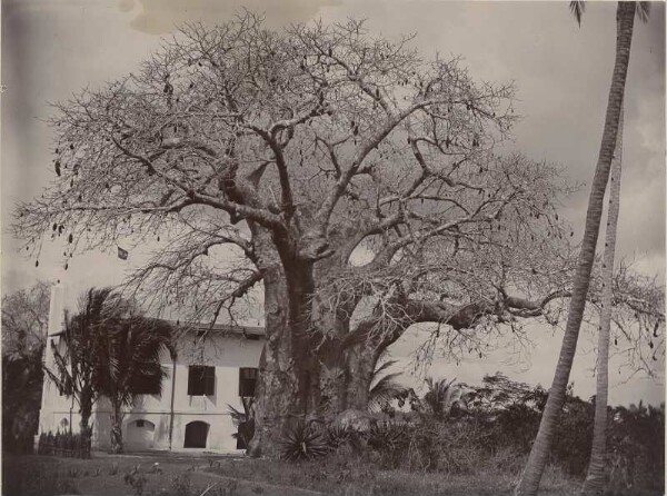 Imperial post office in Daresalam