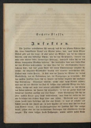 Sechste Klasse. Insekten.