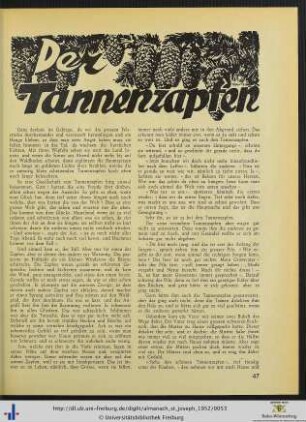 Der Tannenzapfen.