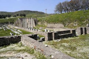 Asklepieion — Bibliothek