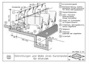 Einrichtungen und Masse eines Kurzstandes für Milchvieh