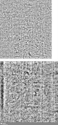 Lilienschild + IESV / LW = Bd.1,S.51/52+151/152