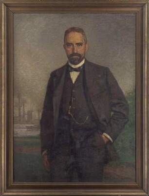 Hugo Stinnes, Unternehmer