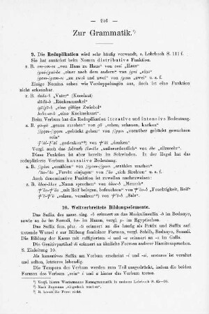 Zur Grammatik.