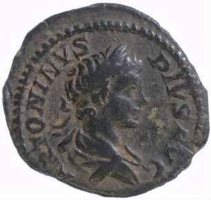 Münze, Denar, 201 - 206