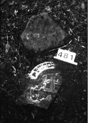 Grabstein 481 (Index: 99897174) Beschreibung: Fragment: Grabstein 481