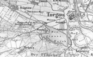 Torgau. Topographische Karte vom Preußischen Staate, Blatt 231 Torgau, 1849