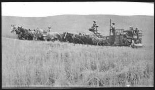 Moscow. Harvest Scene near Moscow, Idaho