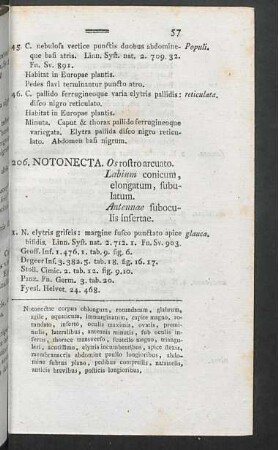 206. Notonecta. - 211. Acanthia.