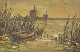 [Ruderboot im Schilf eines Sees]
