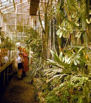 Famillie im Botanischen Garten Jena