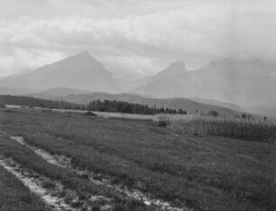 Landschaft : Blick über eine ebene Landschaft mit Feldern, Wald und hohen Bergen im Hintergrund