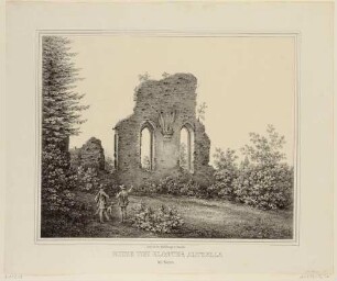 Ruine des ehemaligen Klosters Altzella bei Nossen