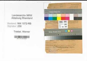 Entnazifizierung Werner Triebel , geb. 21.05.1912 (Ingenieur)