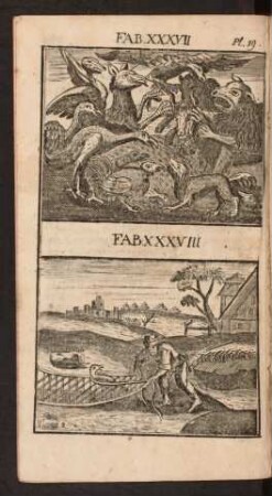 Pl. 19. Fab. XXXVII. Fab. XXXVIII.