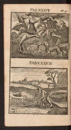 Pl. 19. Fab. XXXVII. Fab. XXXVIII.