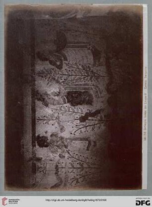 5858B Dettaglio Tomba dei Leopardi - Corneto Tarquinia