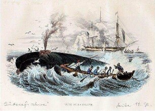 PÊCHE DE LA BALEINE
