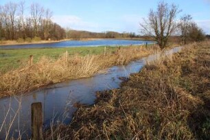 Bad Oldesloe: Wolkenwehe: Pilkenbek in der Wolkenweher Niederung