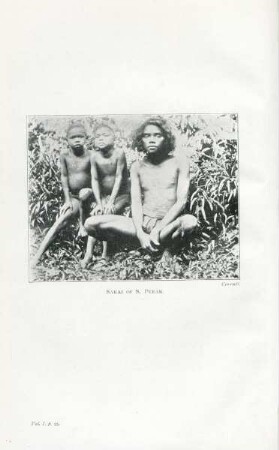 Sakai of S. Perak