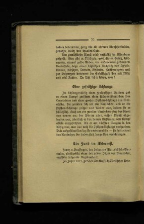 Ein Fund im Adler Nest