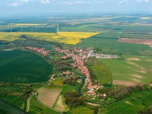 Großvargula