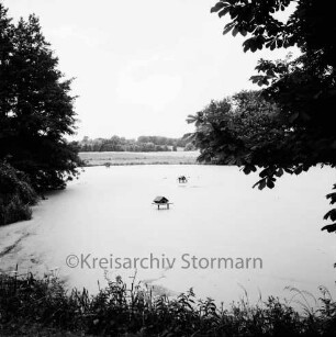 Tralau: Herrenhaus: Park: Teich mit Vogelhäuschen für Wassergeflügel: vorn Gräser: links und rechts Bäume: hinten Haus und Wald